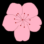 9:1短视频APP应用